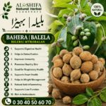 بہیڑا/ بلیلہ
