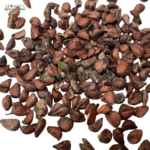 تخم سفرجل/بہی دانہ