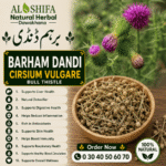 برہم ڈنڈی
