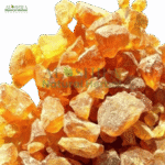 خشک بروزہ