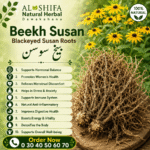 بیخ سوسن
