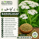 برنجاسف