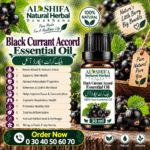 بلیک کرنٹ ایکارڈ آئل