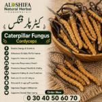 کیٹرپلر فنگس/ کورڈی سیپس