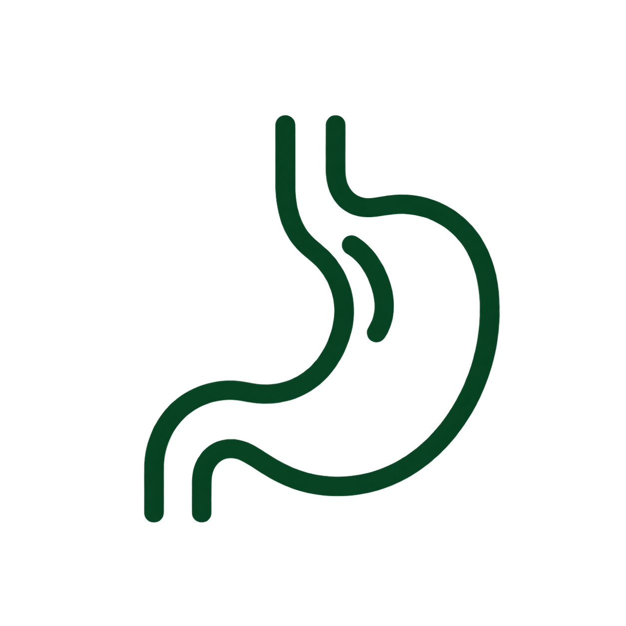 Digestive Health