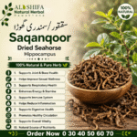 سقنقور/سمندری گھوڑا