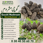 گوچی مشروم