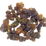 گوگل