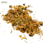 گل کیسو