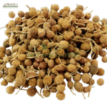 گل منڈی بوٹی