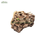 گل سپاری
