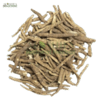 اتیس