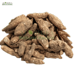 اتیس