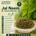 جل نیم