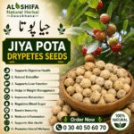 جیا پوتا