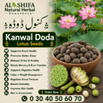 کول ڈوڈے/کنول ڈوڈہ/کنول کٹا