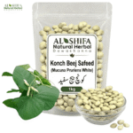 کونچ بیج سفید