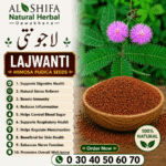 لاجونتی