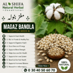 مغز بنولہ