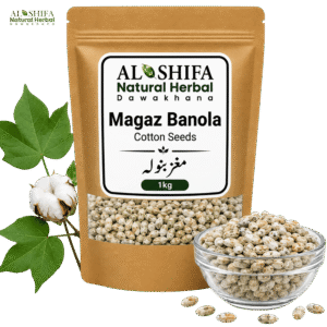 مغز بنولہ