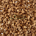 مغز چرونجی
