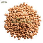 مغز چرونجی