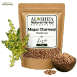 مغز چرونجی