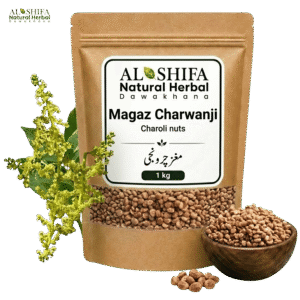 مغز چرونجی