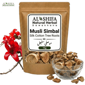 موصلی سنبھل