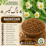 ناگ کیسر