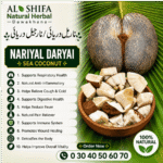ناریل دریائی/نارجیل دریائی