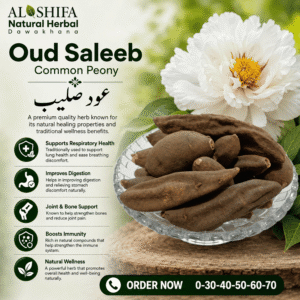 عود صلیب
