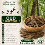 عود