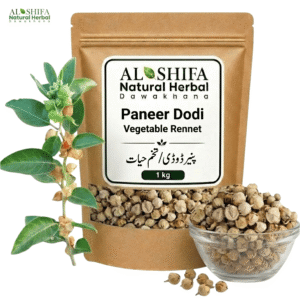 پنیر ڈوڈی/تخم حیات