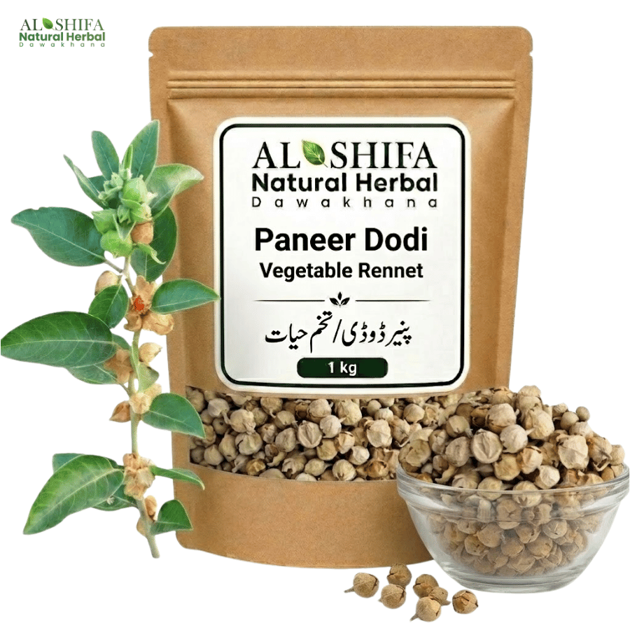 پنیر ڈوڈی/تخم حیات