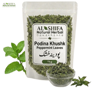 پودینہ خشک