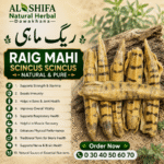 ریگ ماهی