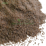 ثابت اسپغول