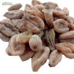 ثعلب مصری