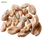 ثعلب مصری