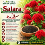 سلارہ