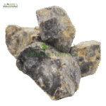 سقمونیا