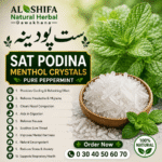 ست پودینہ