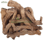 شقاقل مصری
