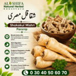 شقاقل مصری