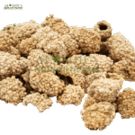 شکر تیغال