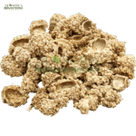 شکر تیغال