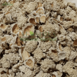 شکر تیغال