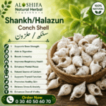 سنکھ/حلزون