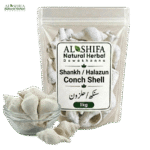 سنکھ/حلزون